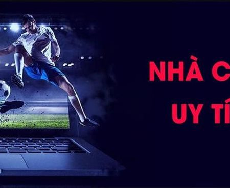 BWing Cánh Chim Gaming Platform Bay Cao Thành Công